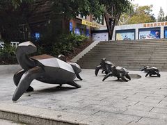 -广东惠东海龟国家级自然保护区