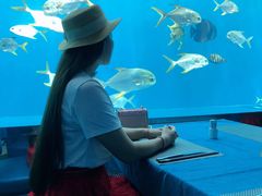 -瑞德姆美人鱼海底演艺主题餐厅(亚龙湾店)