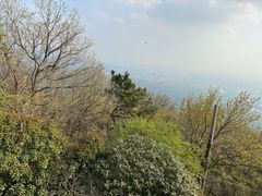 -紫金山山顶公园