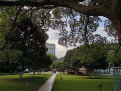 -君来湖滨饭店·玫瑰园