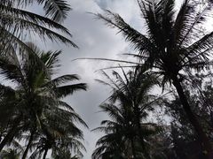 -白沙门生态公园