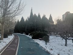 -太阳宫公园
