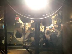 -绿茶餐厅(布吉万象汇店)