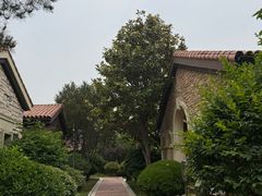 -青岛香根温泉酒店