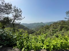 -木兰云雾山