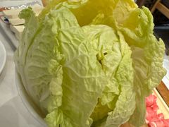 -鸿运诚羊蝎子·火锅(西单店)
