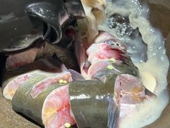 -咕嘟草帽鱼·牛奶一样的鲜鱼汤(包河万达广场创始店)