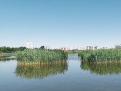 -保定东湖公园(莲池区)