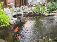 -鲤院·新中式美学·庭院餐厅(夫子庙店)