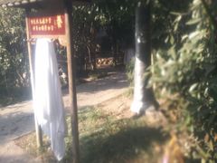 -观唐（国际）度假村温泉