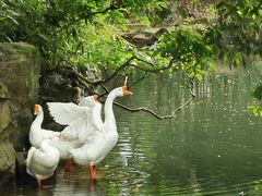 景点-兰亭风景区