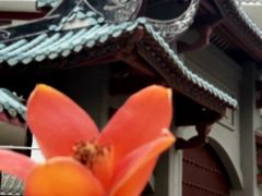 -小南山公园