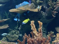 -多彩贵州城极地海洋世界