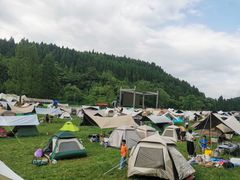 -武陵山森林公园