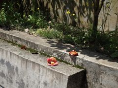 -老胡开文墨厂