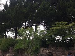 -嘉定紫藤园