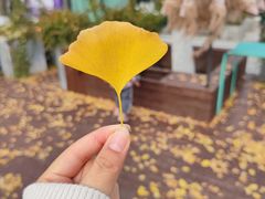 -金陵图书馆