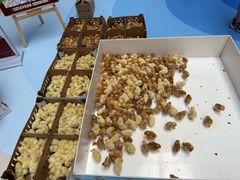 -北京华联购物中心(天通苑店)