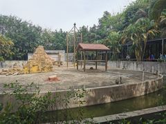 -广东茂名森林公园