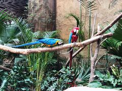 -杭州开元森泊度假乐园