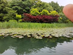 -西湖游船