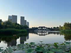 -西海子公园