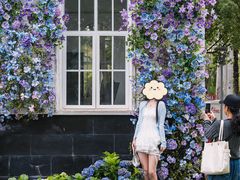 -厦门园林博览苑