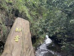 -东莞观音山旅游风景区
