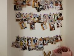 -Husky Go! 哈士奇体验馆·宠物咖啡厅狗咖