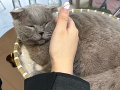 -南京国际贸易中心