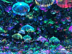 -天津梵高星空艺术馆(天河城旗舰店)