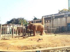 -昆明动物园