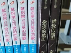-天津图书馆(复康路馆)