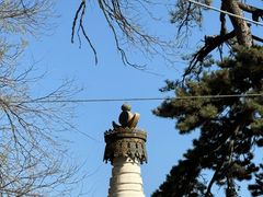 -潭柘寺景区