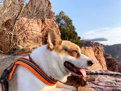 -伏羲山旅游区