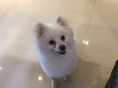 -肆兮眼镜·蔡司·徕卡战略合作店(大坪店)