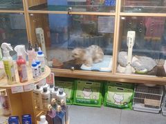 -FAELING PETS美天灵宠物(富力广场店)