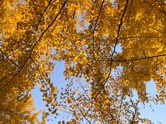 -森林公园(尖草坪区)