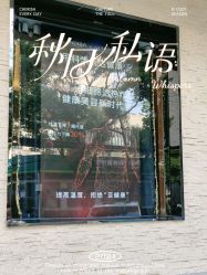-东森自然美.INDIBA.美容SPA.皮肤管理