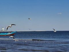 -金梦海湾浴场