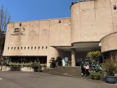 -自贡恐龙博物馆