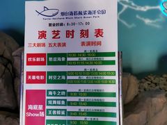 -烟台海昌鲸鲨海洋公园