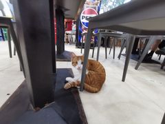 -珊珊小笼馆(仙霞路店)