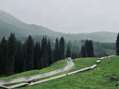 -江布拉克景区怪坡停车场