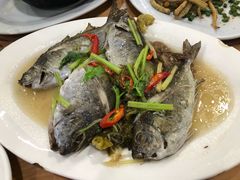 -长平肥姐白粥·海鲜打冷