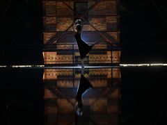 -JZ Club 爵士酒吧(上海店)