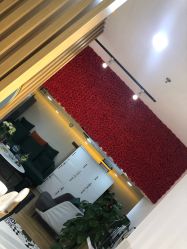 -尚·丹尼Hair