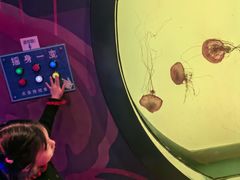 -沈阳海洋探索中心