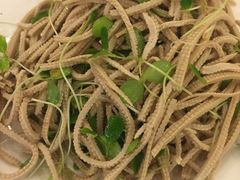 香椿苗拌豆腐丝-红京鱼(西坝河店)