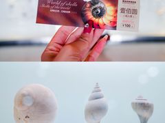 -青岛贝壳博物馆